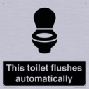 this-toilet-flushes-automatically~